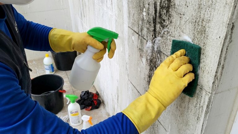 겨울철 결로인해 생긴 곰팡이 청소