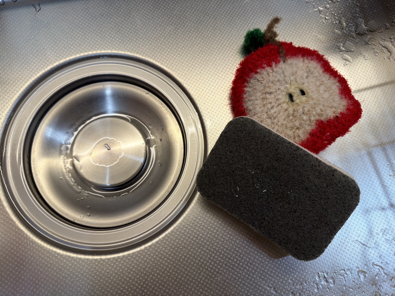 싱크대와 수세미