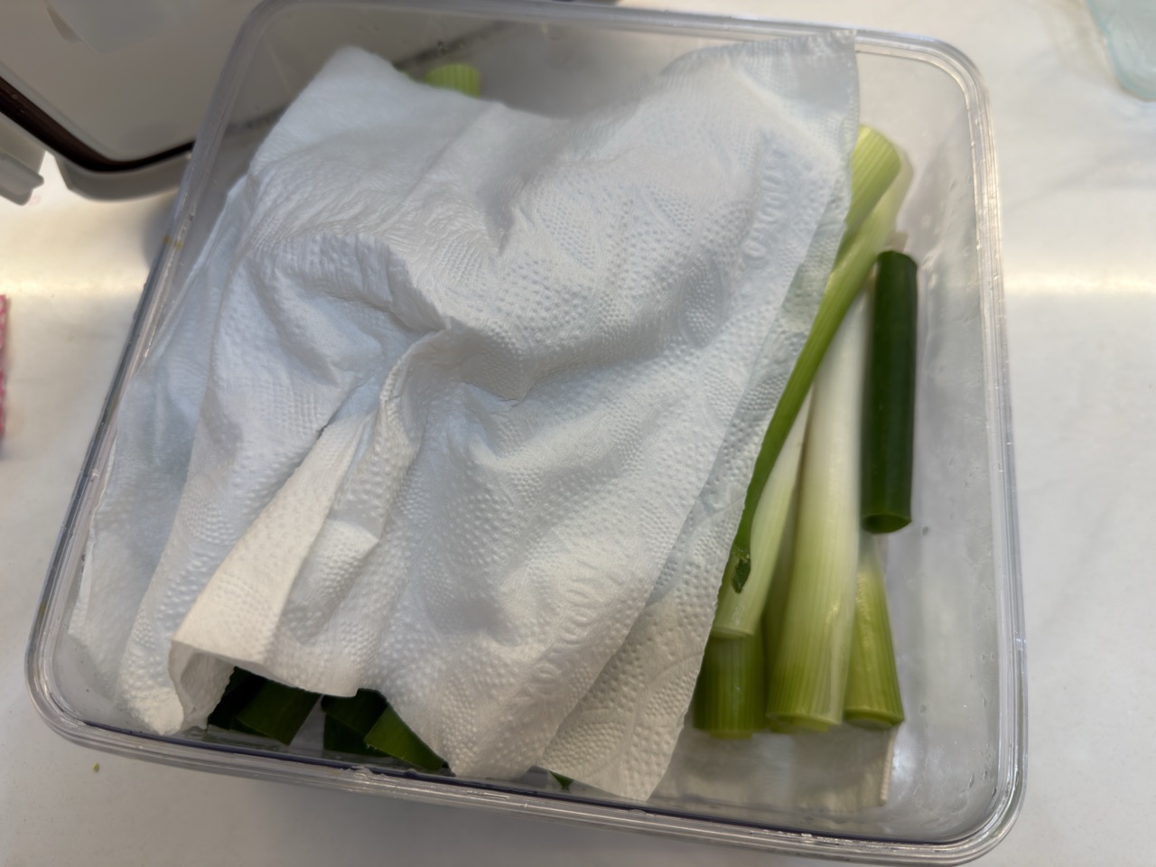 야채칸에 채소 싱싱하게 보관하는 방법